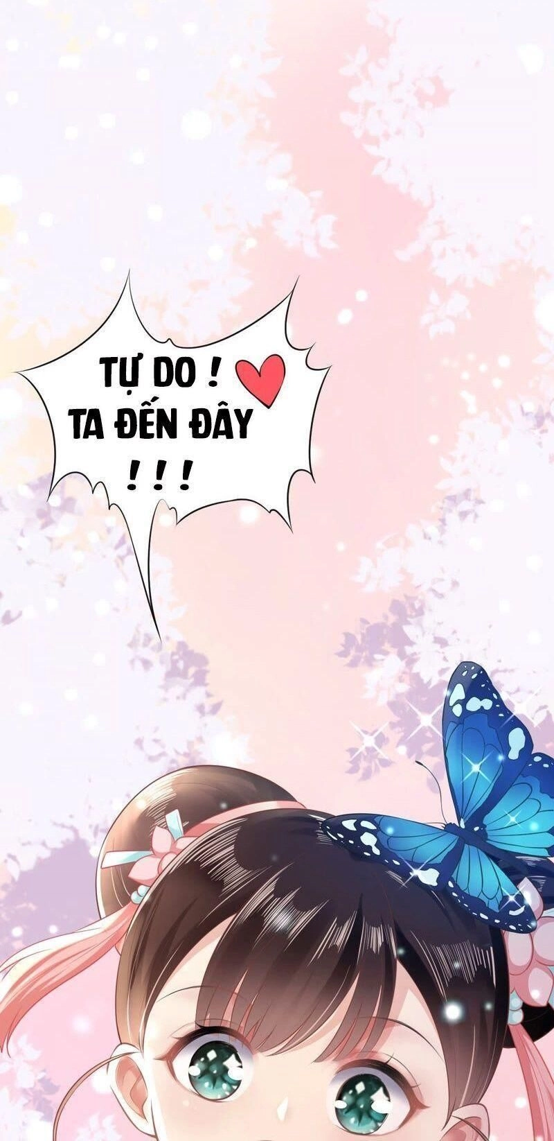 Quận Chúa Vững Vàng, Thiết Lập Nhân Vật Không Thể Vỡ Chapter 15 - 25