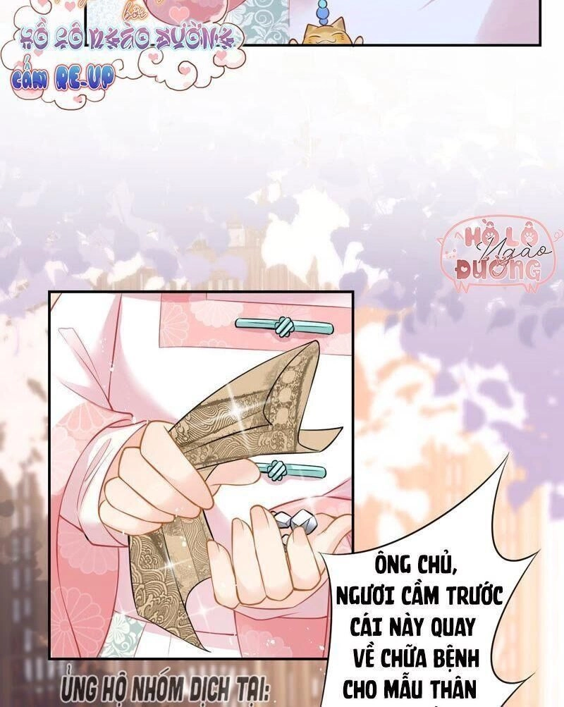 Quận Chúa Vững Vàng, Thiết Lập Nhân Vật Không Thể Vỡ Chapter 17 - 8