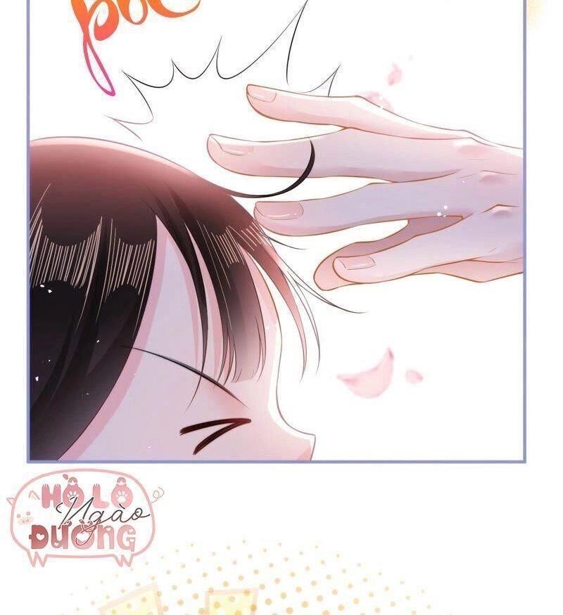 Quận Chúa Vững Vàng, Thiết Lập Nhân Vật Không Thể Vỡ Chapter 22 - 29