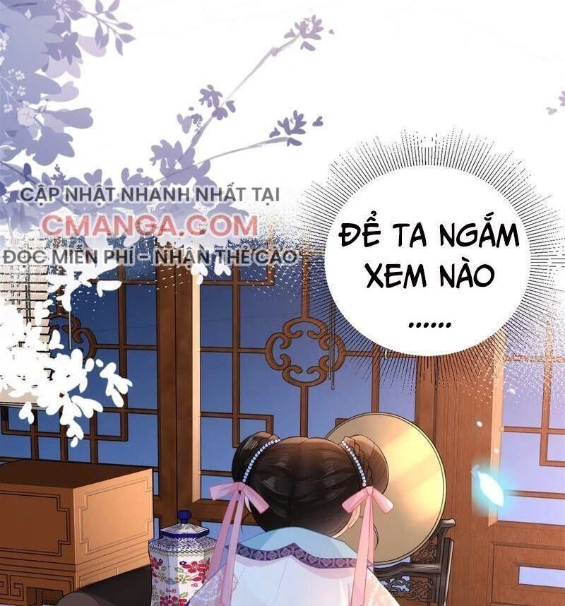 Quận Chúa Vững Vàng, Thiết Lập Nhân Vật Không Thể Vỡ Chapter 23 - 5