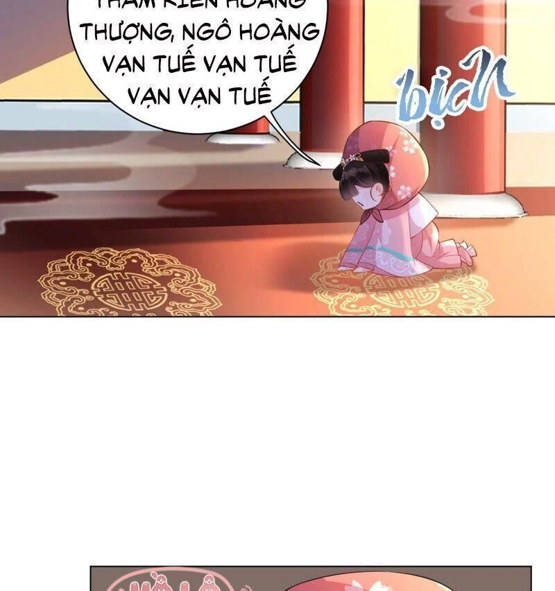 Quận Chúa Vững Vàng, Thiết Lập Nhân Vật Không Thể Vỡ Chapter 24 - 43