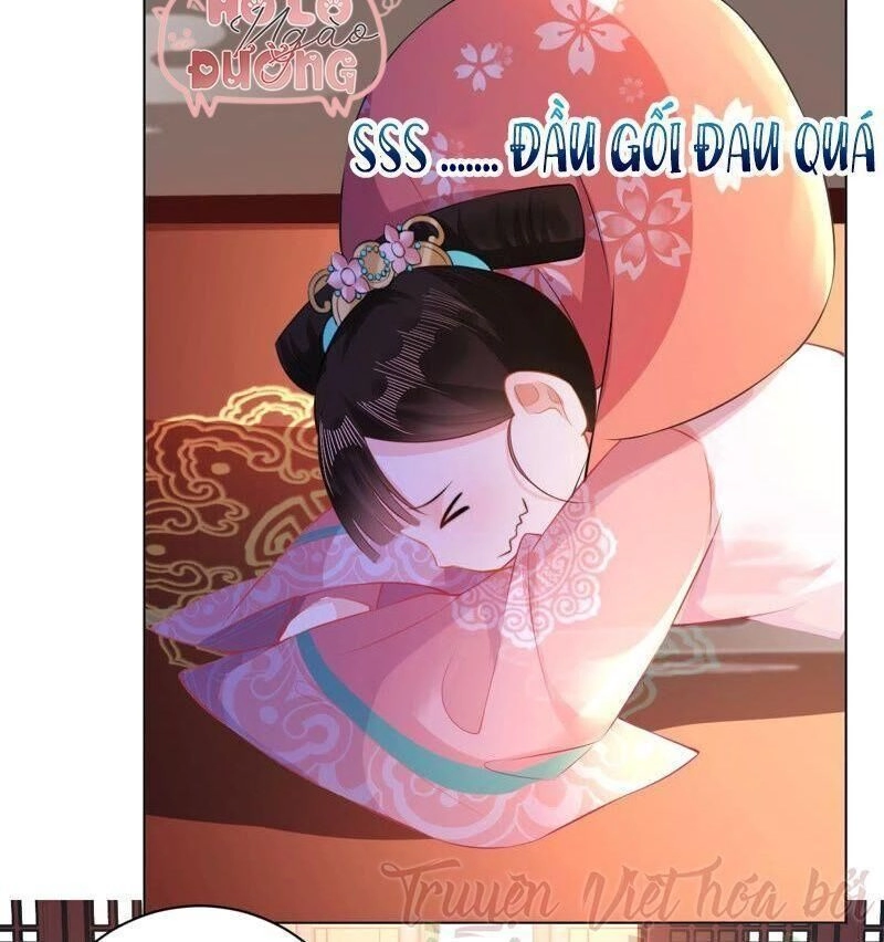 Quận Chúa Vững Vàng, Thiết Lập Nhân Vật Không Thể Vỡ Chapter 24 - 44