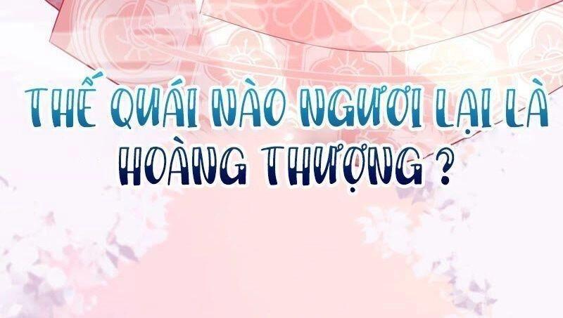 Quận Chúa Vững Vàng, Thiết Lập Nhân Vật Không Thể Vỡ Chapter 24 - 57