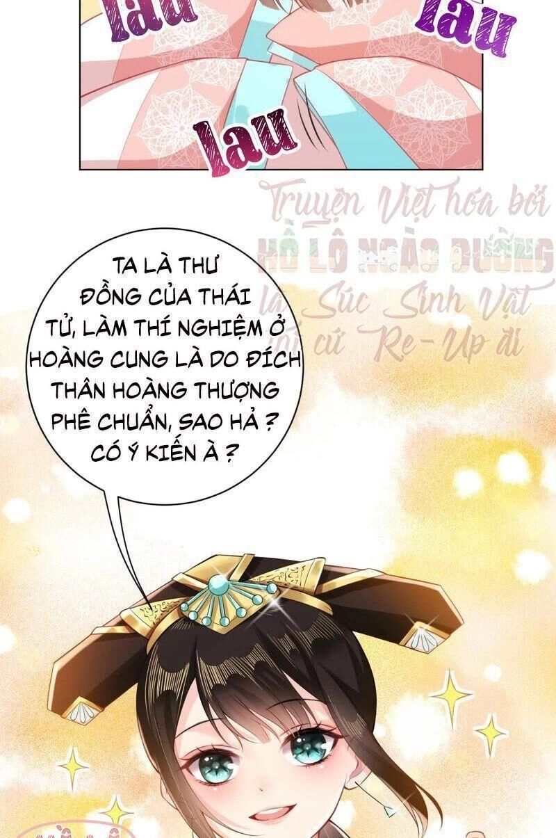 Quận Chúa Vững Vàng, Thiết Lập Nhân Vật Không Thể Vỡ Chapter 25 - 36