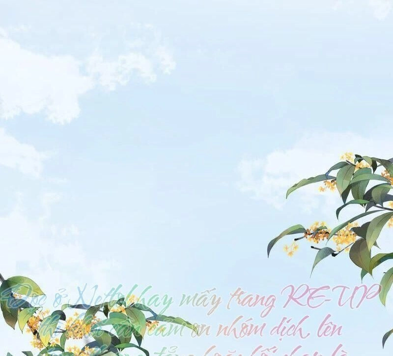 Quận Chúa Vững Vàng, Thiết Lập Nhân Vật Không Thể Vỡ Chapter 27 - 50