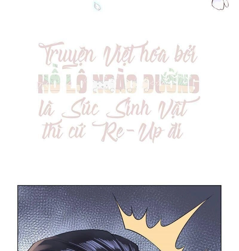 Quận Chúa Vững Vàng, Thiết Lập Nhân Vật Không Thể Vỡ Chapter 29 - 33