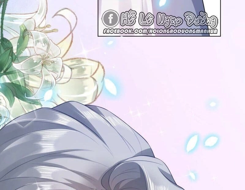 Quận Chúa Vững Vàng, Thiết Lập Nhân Vật Không Thể Vỡ Chapter 31 - 20