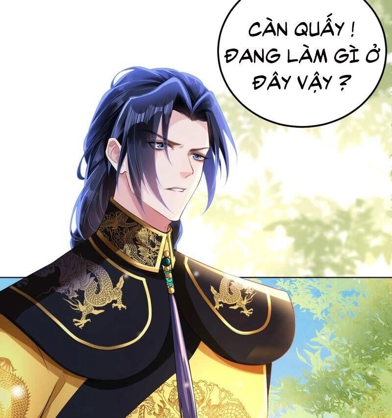 Quận Chúa Vững Vàng, Thiết Lập Nhân Vật Không Thể Vỡ Chapter 34 - 43