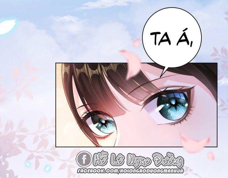 Quận Chúa Vững Vàng, Thiết Lập Nhân Vật Không Thể Vỡ Chapter 39 - 6