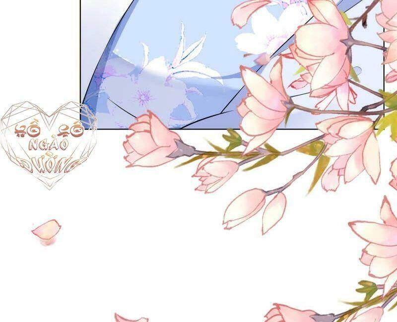 Quận Chúa Vững Vàng, Thiết Lập Nhân Vật Không Thể Vỡ Chapter 43 - 11