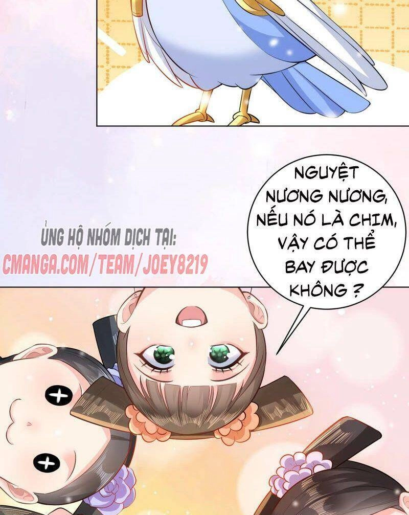 Quận Chúa Vững Vàng, Thiết Lập Nhân Vật Không Thể Vỡ Chapter 43 - 45