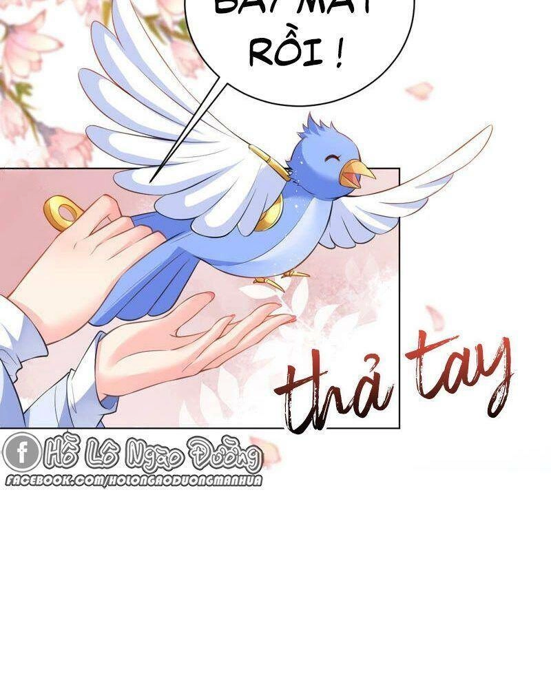 Quận Chúa Vững Vàng, Thiết Lập Nhân Vật Không Thể Vỡ Chapter 43 - 59