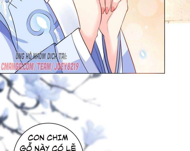 Quận Chúa Vững Vàng, Thiết Lập Nhân Vật Không Thể Vỡ Chapter 44 - 21