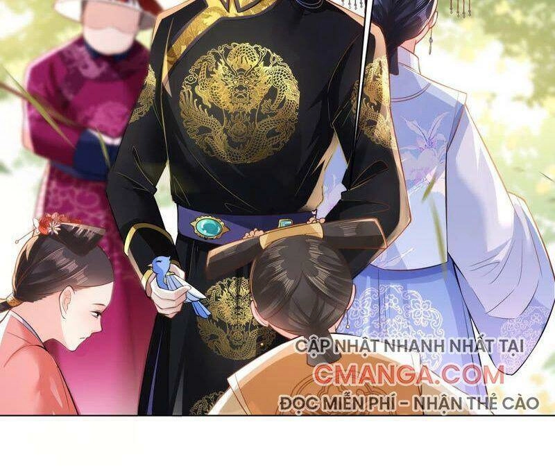 Quận Chúa Vững Vàng, Thiết Lập Nhân Vật Không Thể Vỡ Chapter 44 - 42