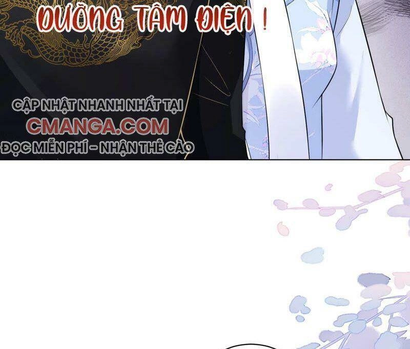 Quận Chúa Vững Vàng, Thiết Lập Nhân Vật Không Thể Vỡ Chapter 44 - 56