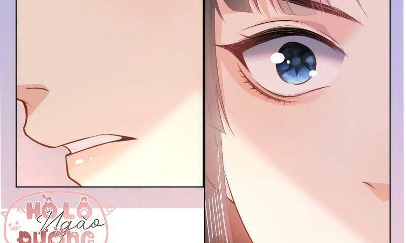 Quận Chúa Vững Vàng, Thiết Lập Nhân Vật Không Thể Vỡ Chapter 46 - 57