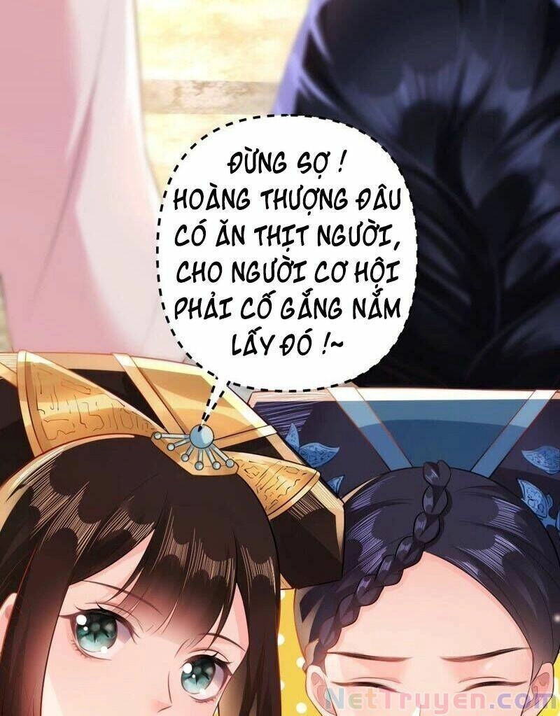 Quận Chúa Vững Vàng, Thiết Lập Nhân Vật Không Thể Vỡ Chapter 49 - 54