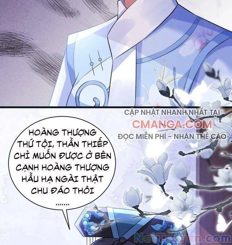 Quận Chúa Vững Vàng, Thiết Lập Nhân Vật Không Thể Vỡ Chapter 50 - 5