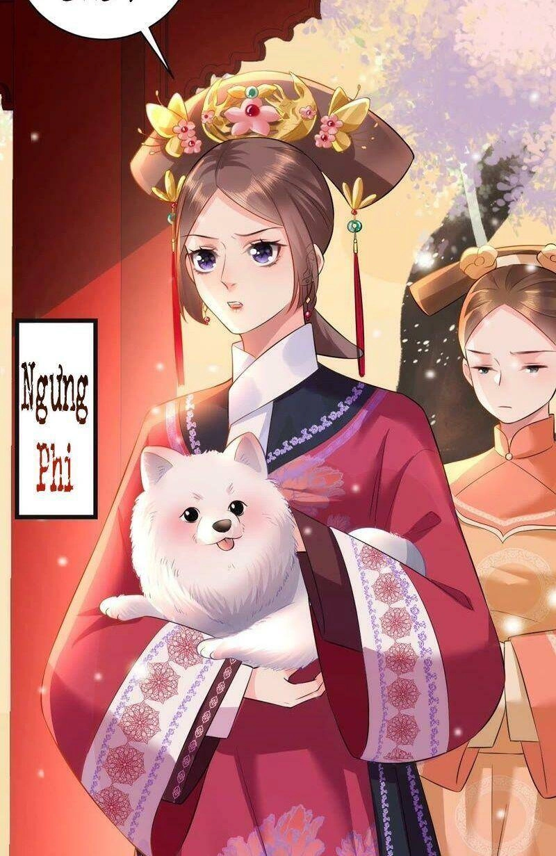 Quận Chúa Vững Vàng, Thiết Lập Nhân Vật Không Thể Vỡ Chapter 55 - 10