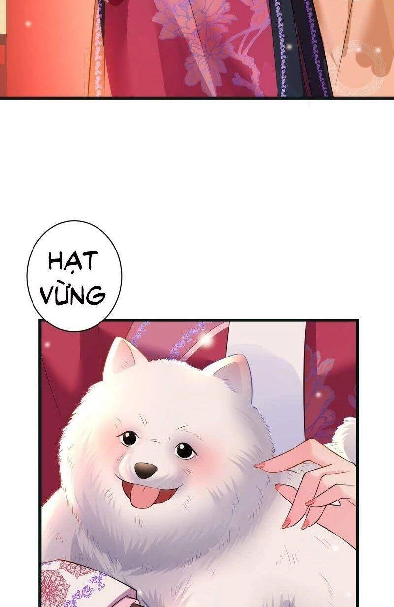 Quận Chúa Vững Vàng, Thiết Lập Nhân Vật Không Thể Vỡ Chapter 55 - 11