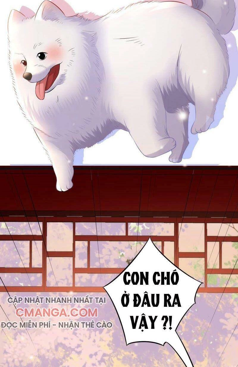 Quận Chúa Vững Vàng, Thiết Lập Nhân Vật Không Thể Vỡ Chapter 55 - 14