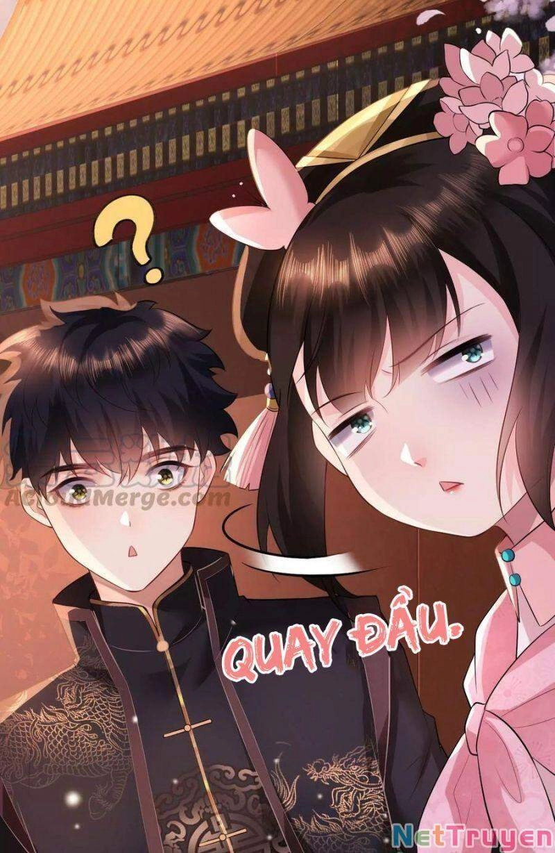 Quận Chúa Vững Vàng, Thiết Lập Nhân Vật Không Thể Vỡ Chapter 78 - 17