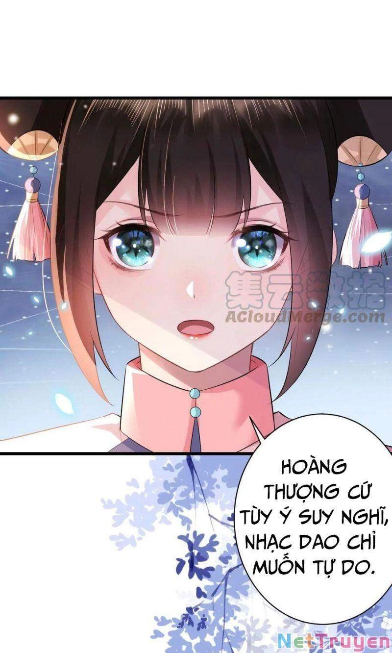 Quận Chúa Vững Vàng, Thiết Lập Nhân Vật Không Thể Vỡ Chapter 78 - 26