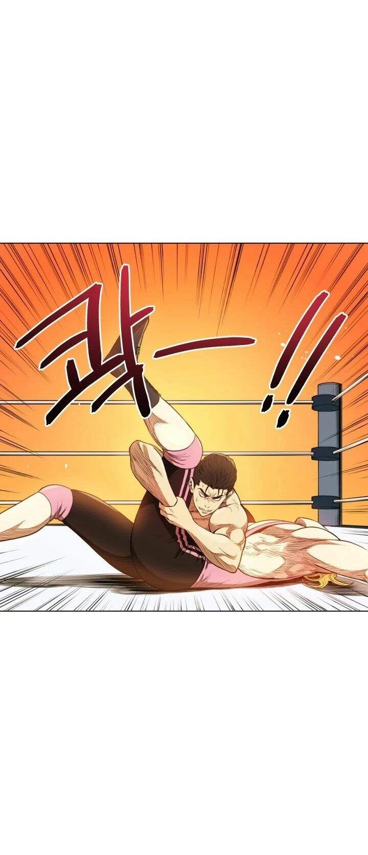 Đấu Sĩ Vô Song Chapter 10 - 47