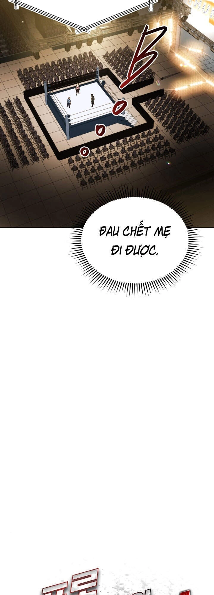 Đấu Sĩ Vô Song Chapter 27 - 9