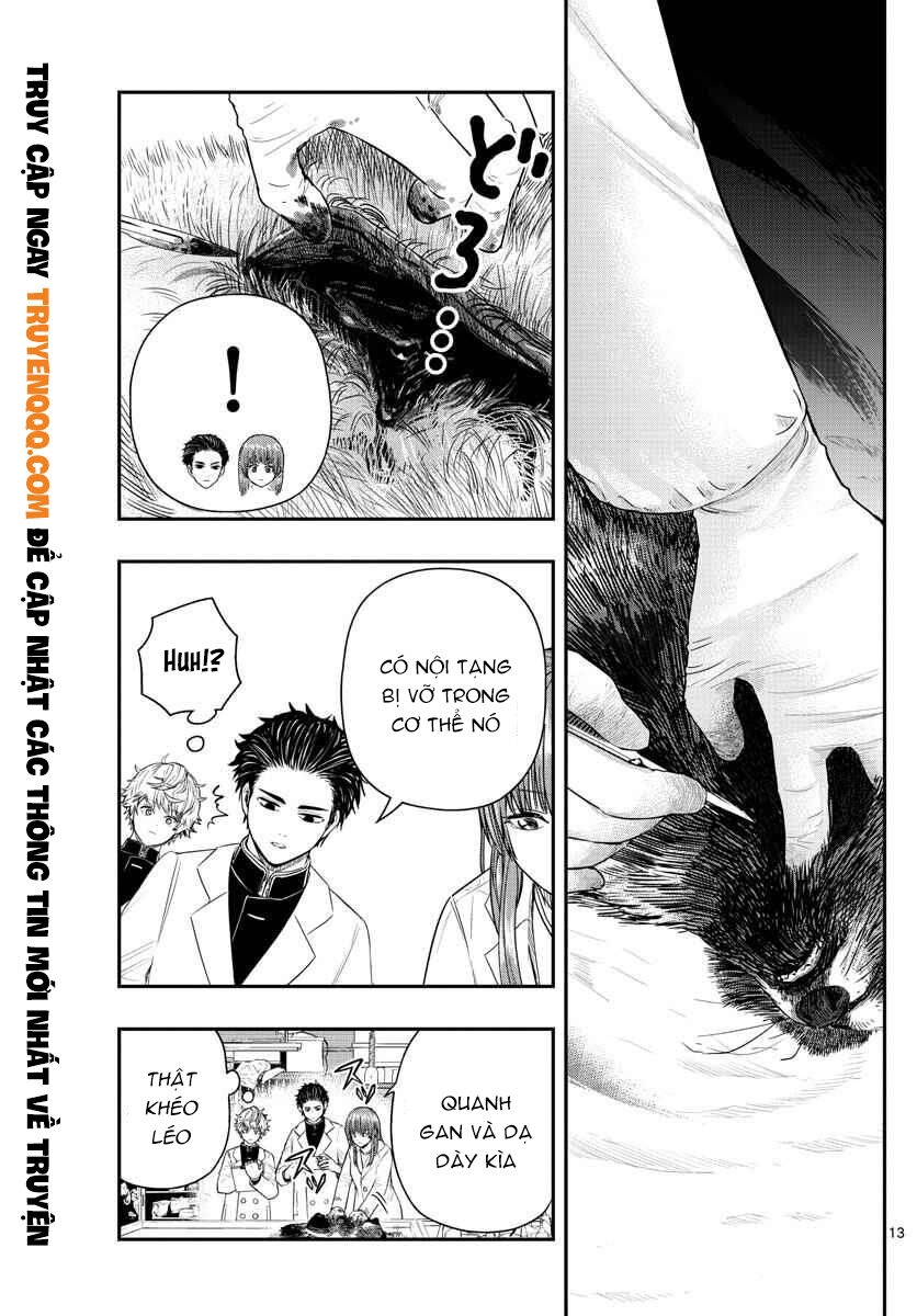 Last Karte Chapter 2 - 14