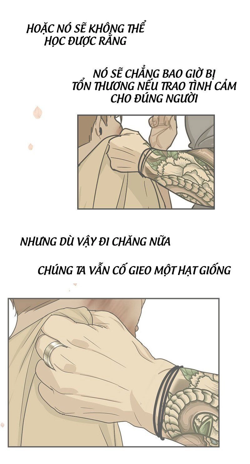 Nửa Đêm Ở Poppy Land Chapter 19 - 19