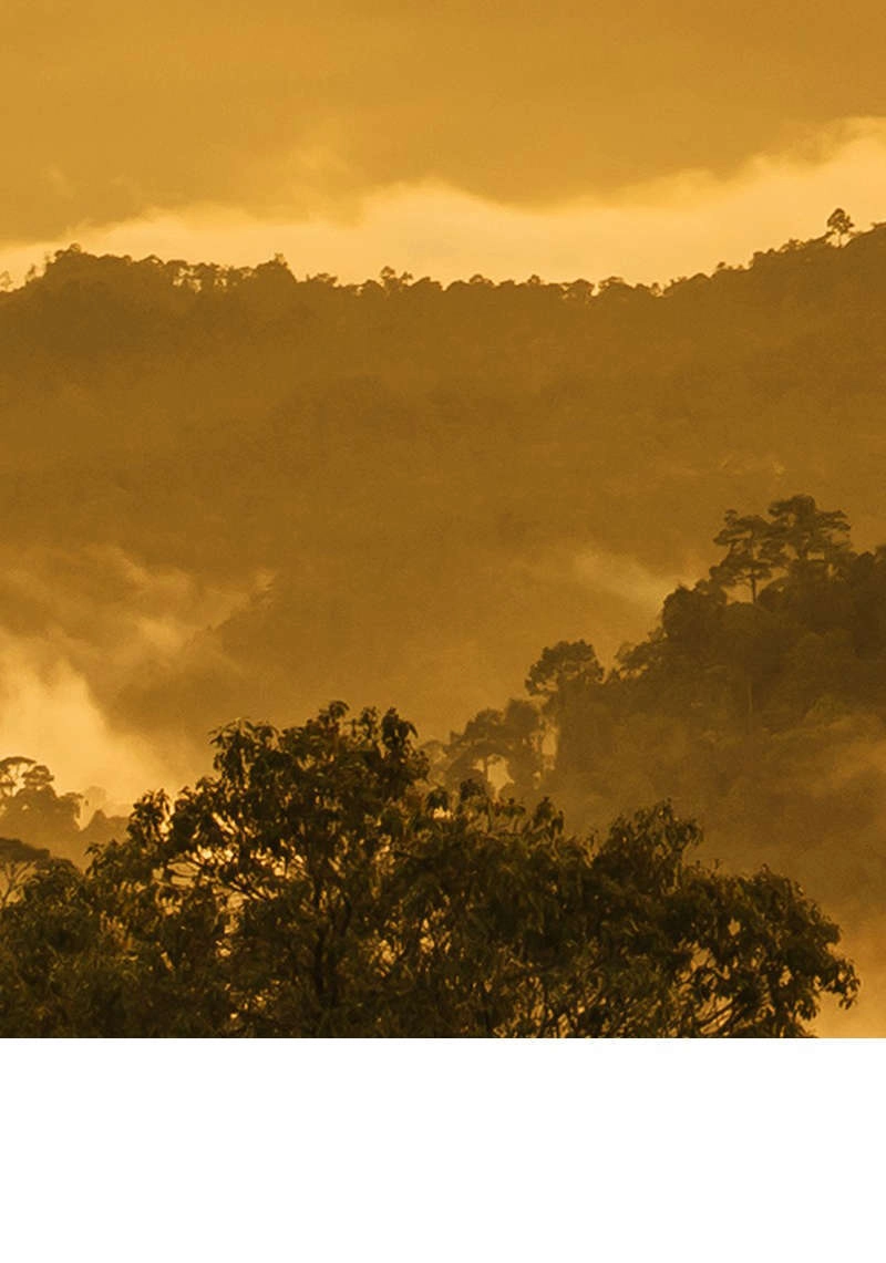 Nửa Đêm Ở Poppy Land Chapter 58 - 90