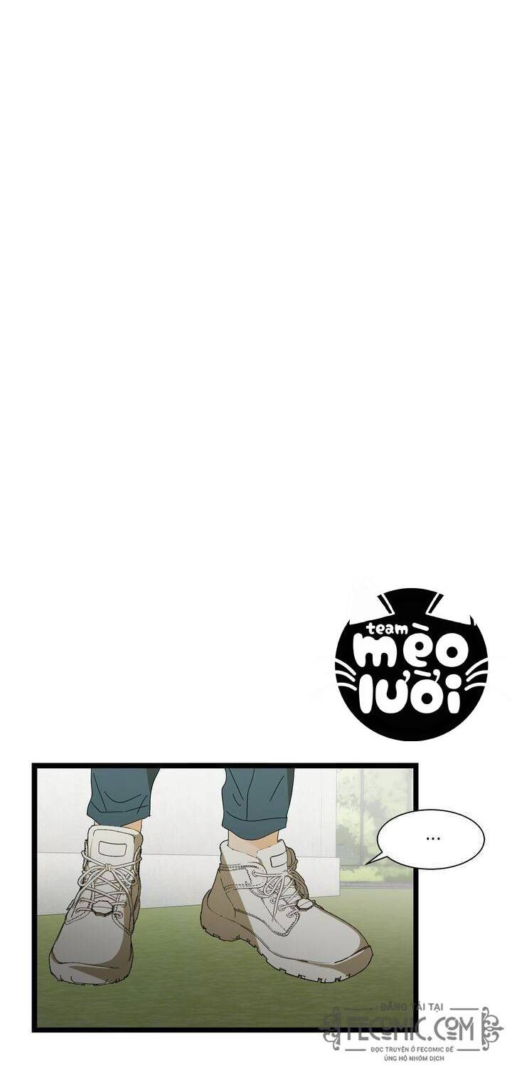 Giả Mạo Theo Phong Cách Chapter 45 - 29