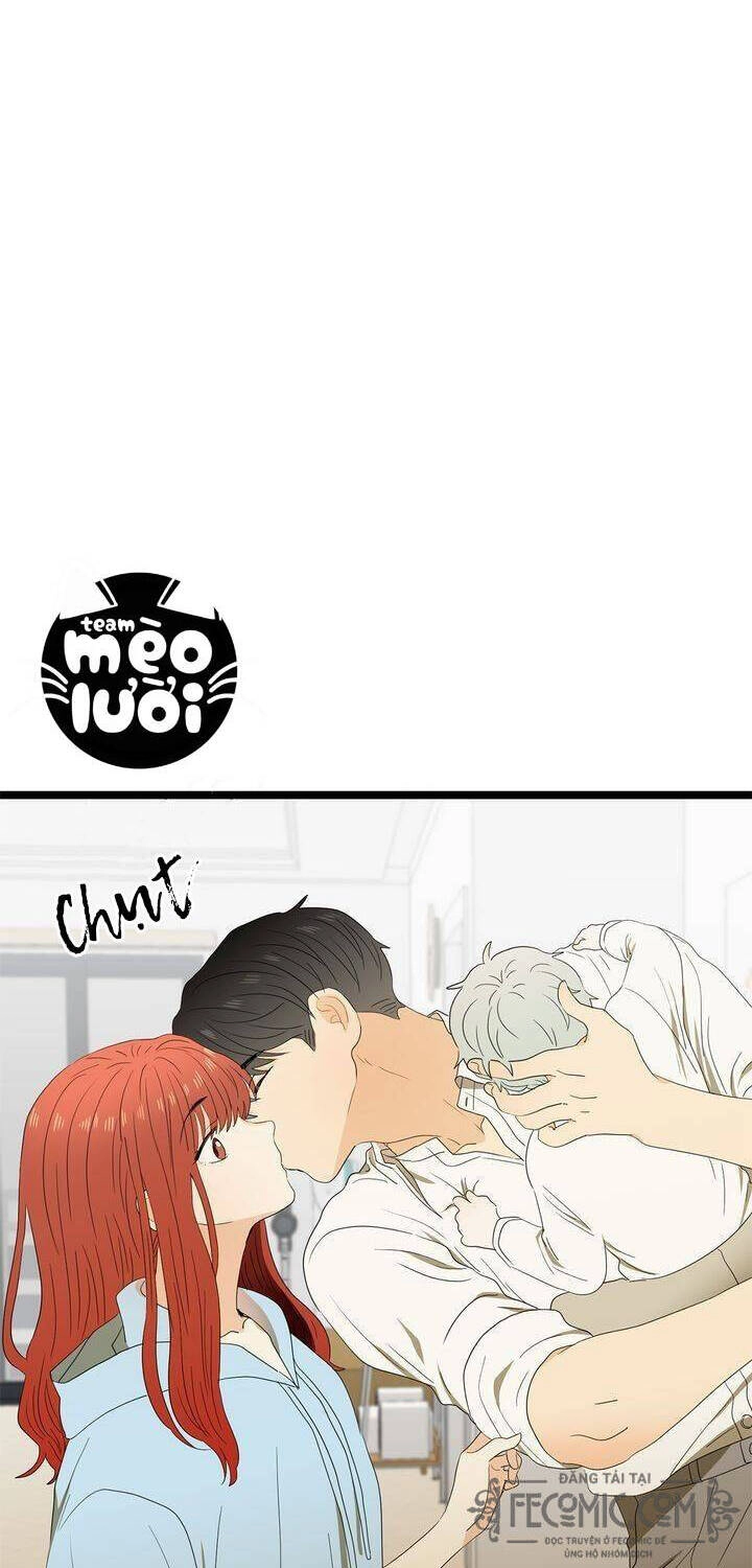 Giả Mạo Theo Phong Cách Chapter 49 - 17