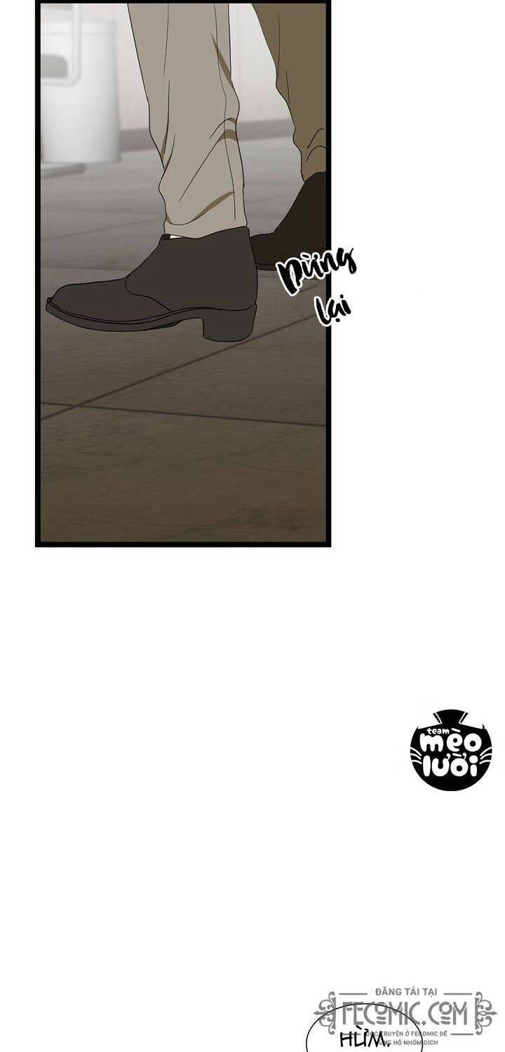 Giả Mạo Theo Phong Cách Chapter 49 - 33