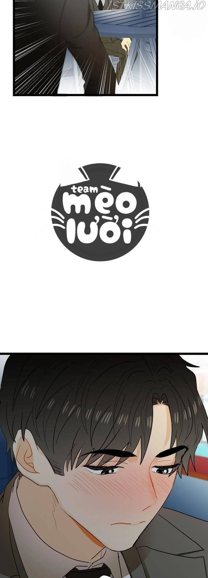 Giả Mạo Theo Phong Cách Chapter 56 - 48