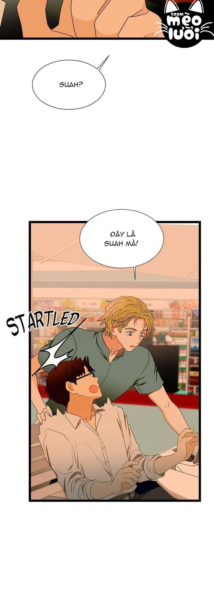 Giả Mạo Theo Phong Cách Chapter 61 - 49