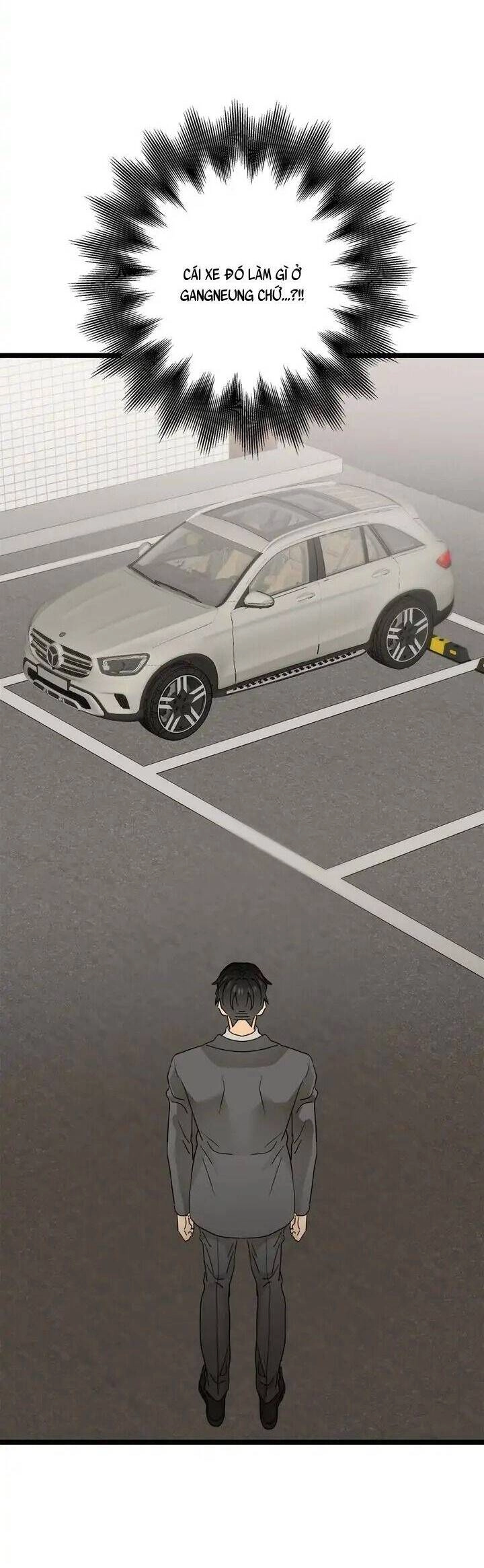 Giả Mạo Theo Phong Cách Chapter 98 - 31