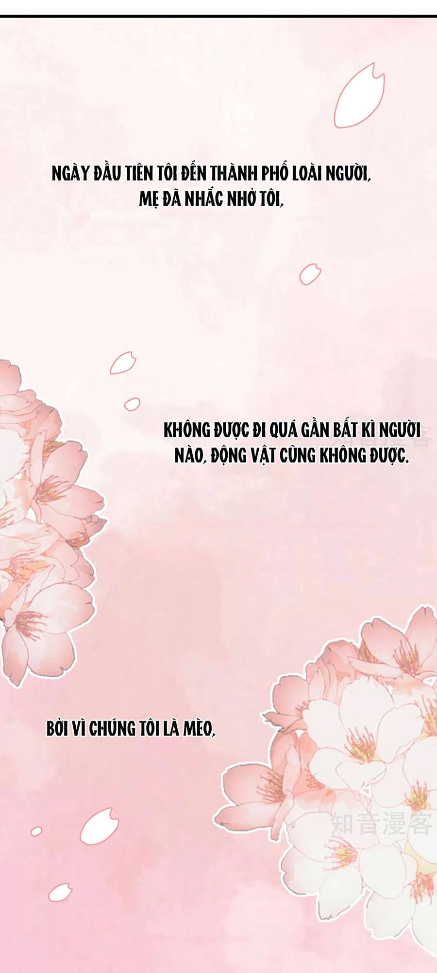 Hẹn Hò Siêu Tốc Chapter 20 - 2