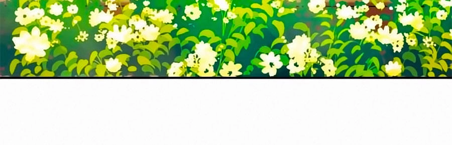 Thượng Quốc Phú Chi Thiên Đống Tuyết Chapter 15 - 3