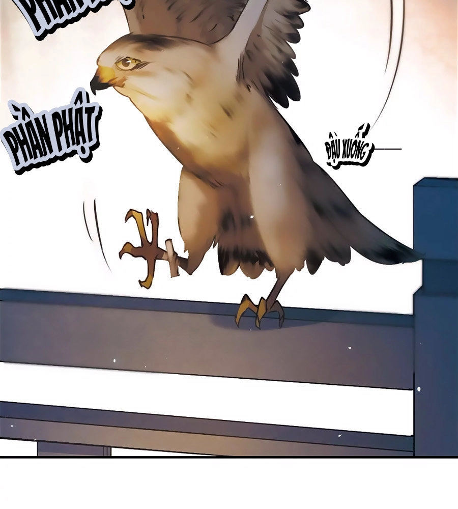 Thượng Quốc Phú Chi Thiên Đống Tuyết Chapter 39 - 10