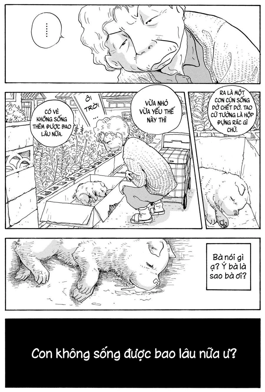 Chú Chó Gác Sao Chapter 7 - 11