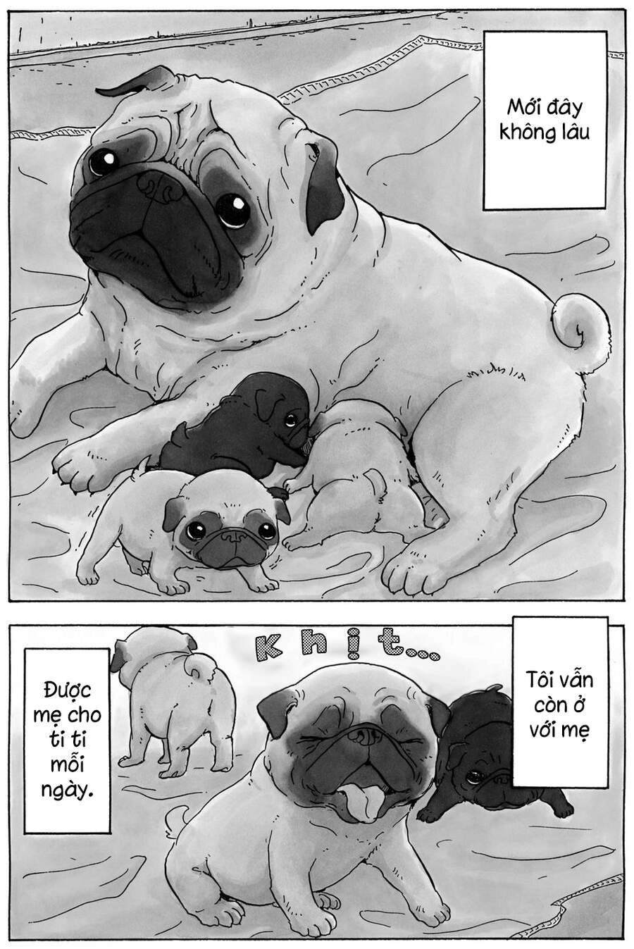 Chú Chó Gác Sao Chapter 9 - 6