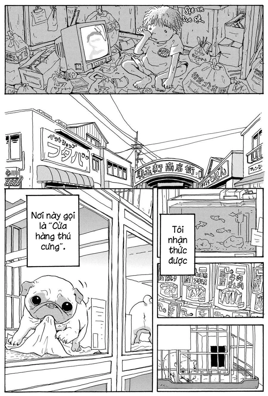 Chú Chó Gác Sao Chapter 9 - 11