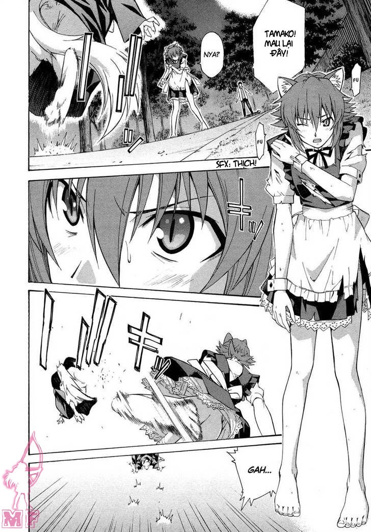Isuca Chapter 11 - 13