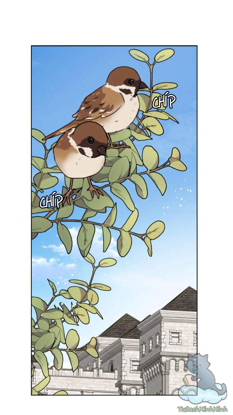 Màn Đêm Buông Xuống Là Khi Qụa Kêu Chapter 36 - 2