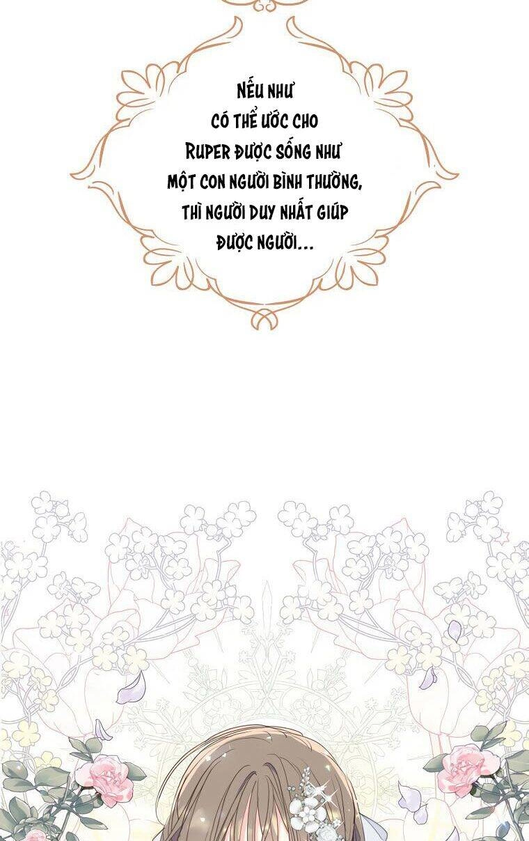 Bệ Hạ, Xin Đừng Giết Thần Nữa! Chapter 68.1 - 19