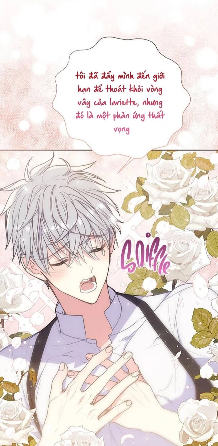 Bệ Hạ, Xin Đừng Giết Thần Nữa! Chapter 71 - 12