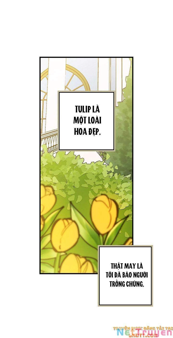 Hoàng Phi Bóng Tối Chapter 21 - 46