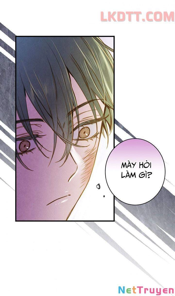 Hoàng Phi Bóng Tối Chapter 23 - 43